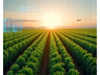 Campo agrícola con sensores de medición y tractor inteligente.
